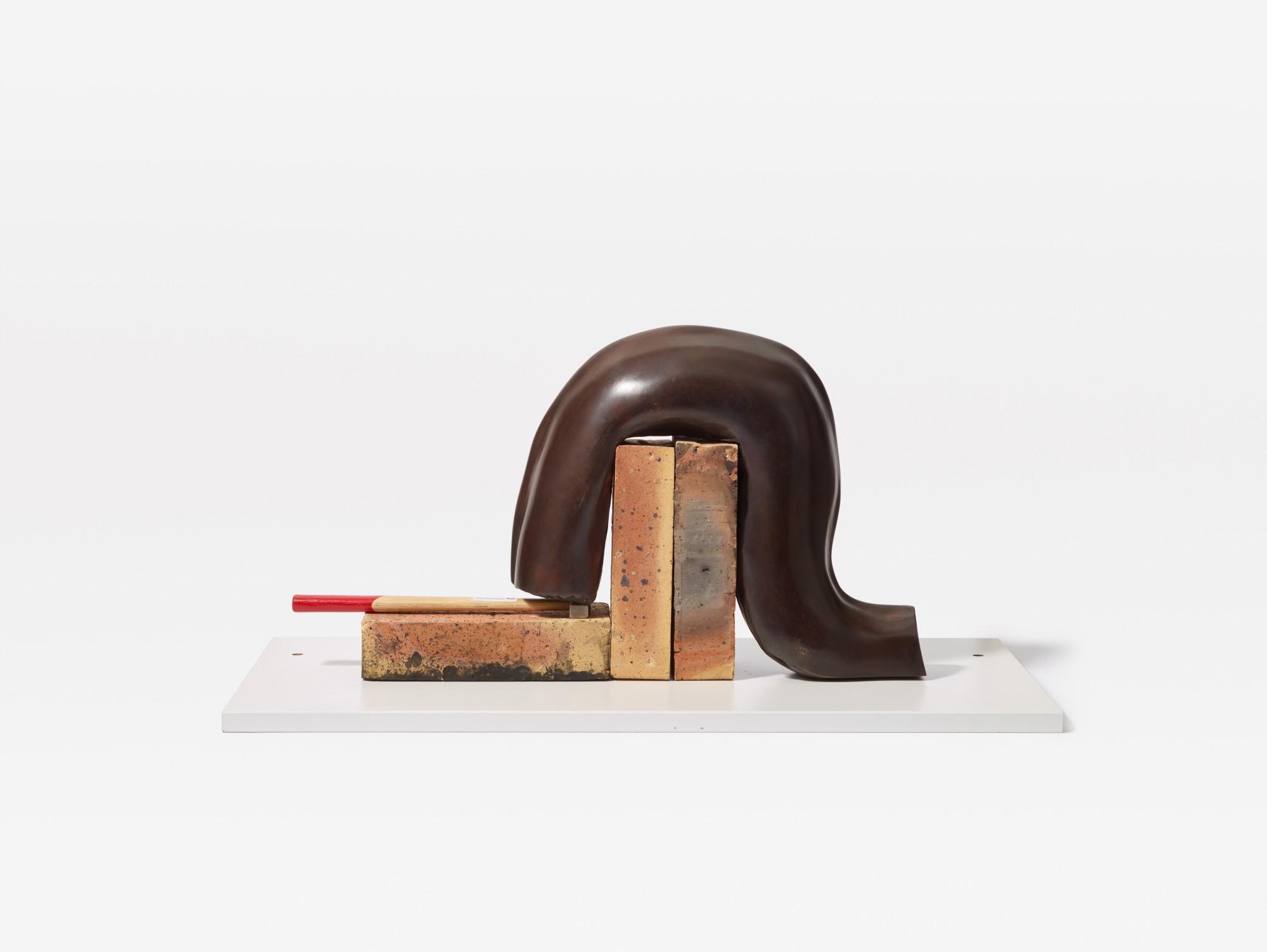 Camille Henrot - Overlapping Figures