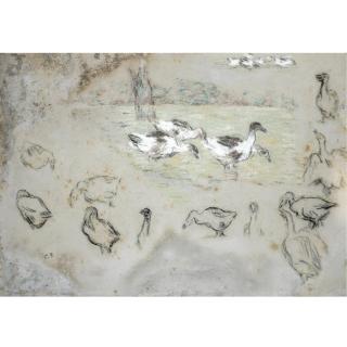 Camille Pissarro - Étude D\'Oies