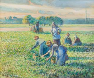 Camille Pissarro - La Récolte des pois