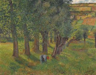 Camille Pissarro - Le Chou À Pontoise