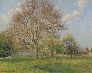 Camille Pissarro - Le grand noyer à Éragny, après-midi