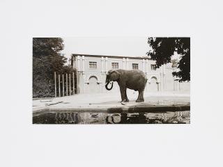 Candida Höfer - Zoologischer Garten, Köln.