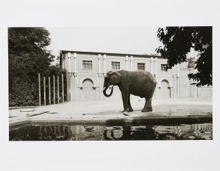 Candida Höfer - Zoologischer Garten, Köln.