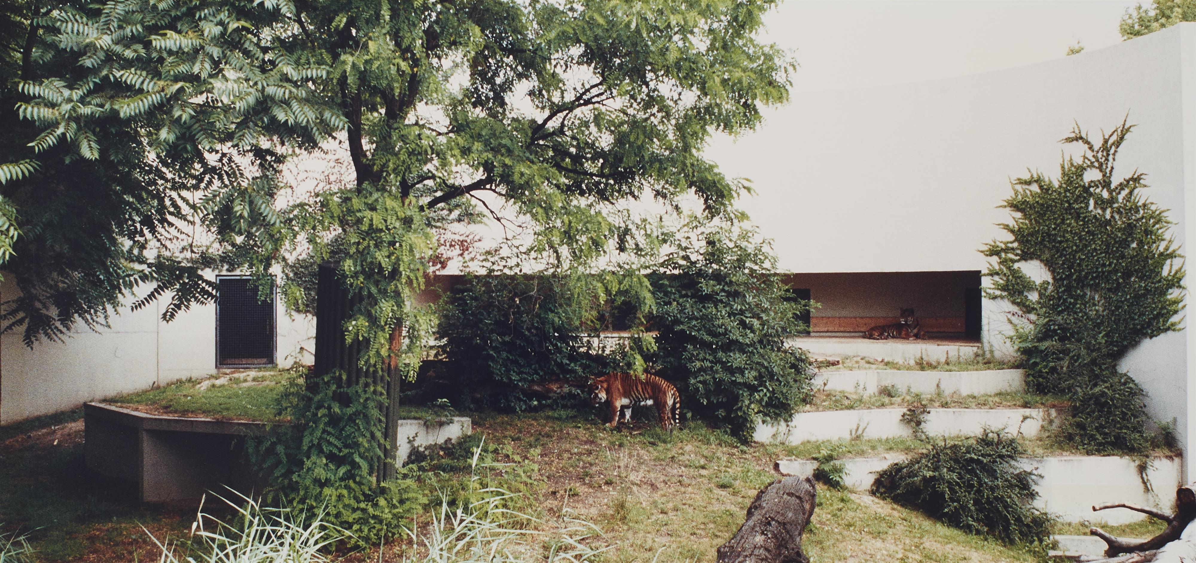 Candida Höfer - Zoologischer Garten Stuttgart I