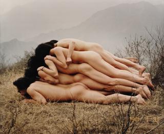 Cang Xin - To Raise An Anonymous Mountain By One Meter