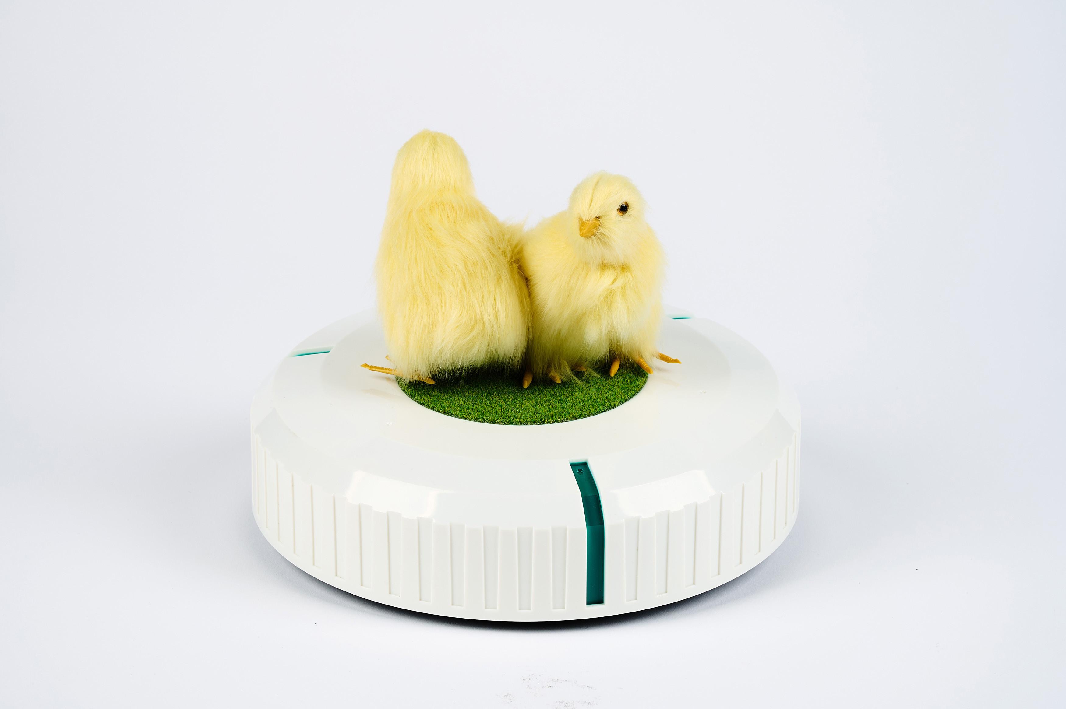 Cao Fei - Rumba 1: Incubator (für Parkett 99).