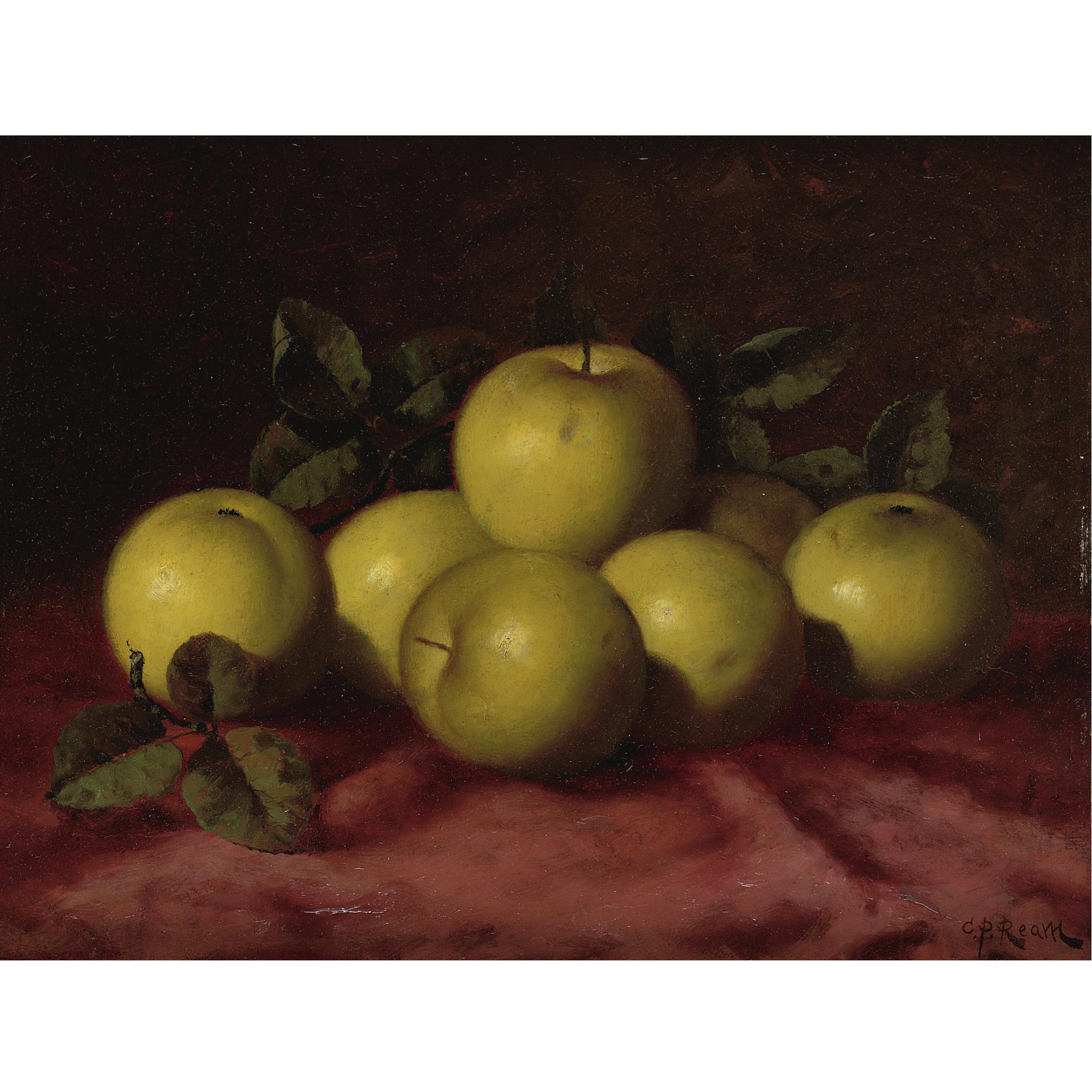 Carducius Plantagenet Ream - Green Apples