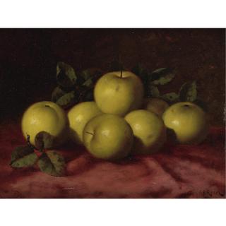 Carducius Plantagenet Ream - Green Apples