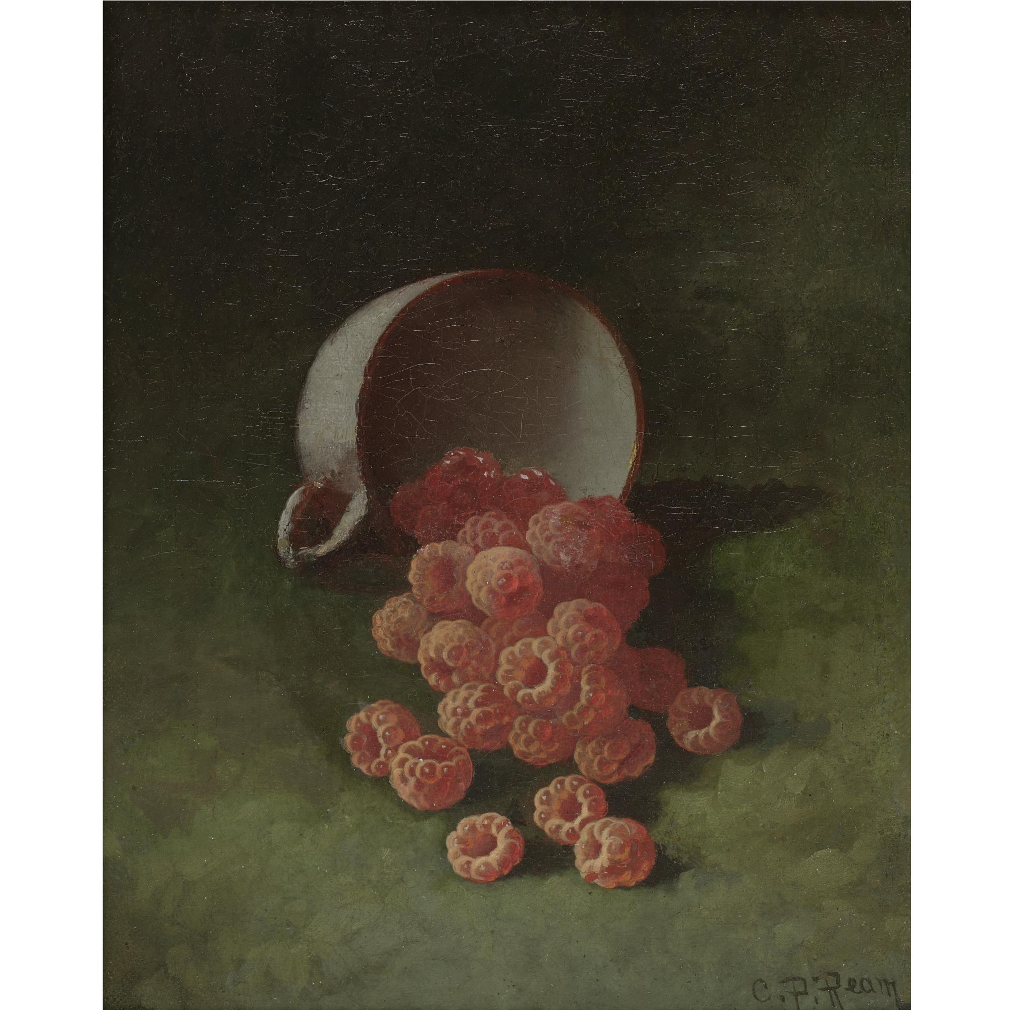 Carducius Plantagenet Ream - Raspberries In A Cup