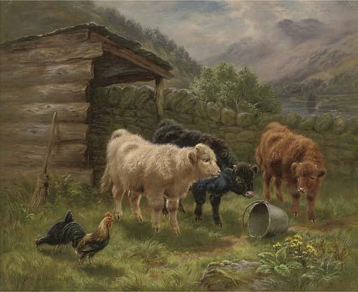 Cari E. Watson - Highland Calves, Jay Valley, Perthshire