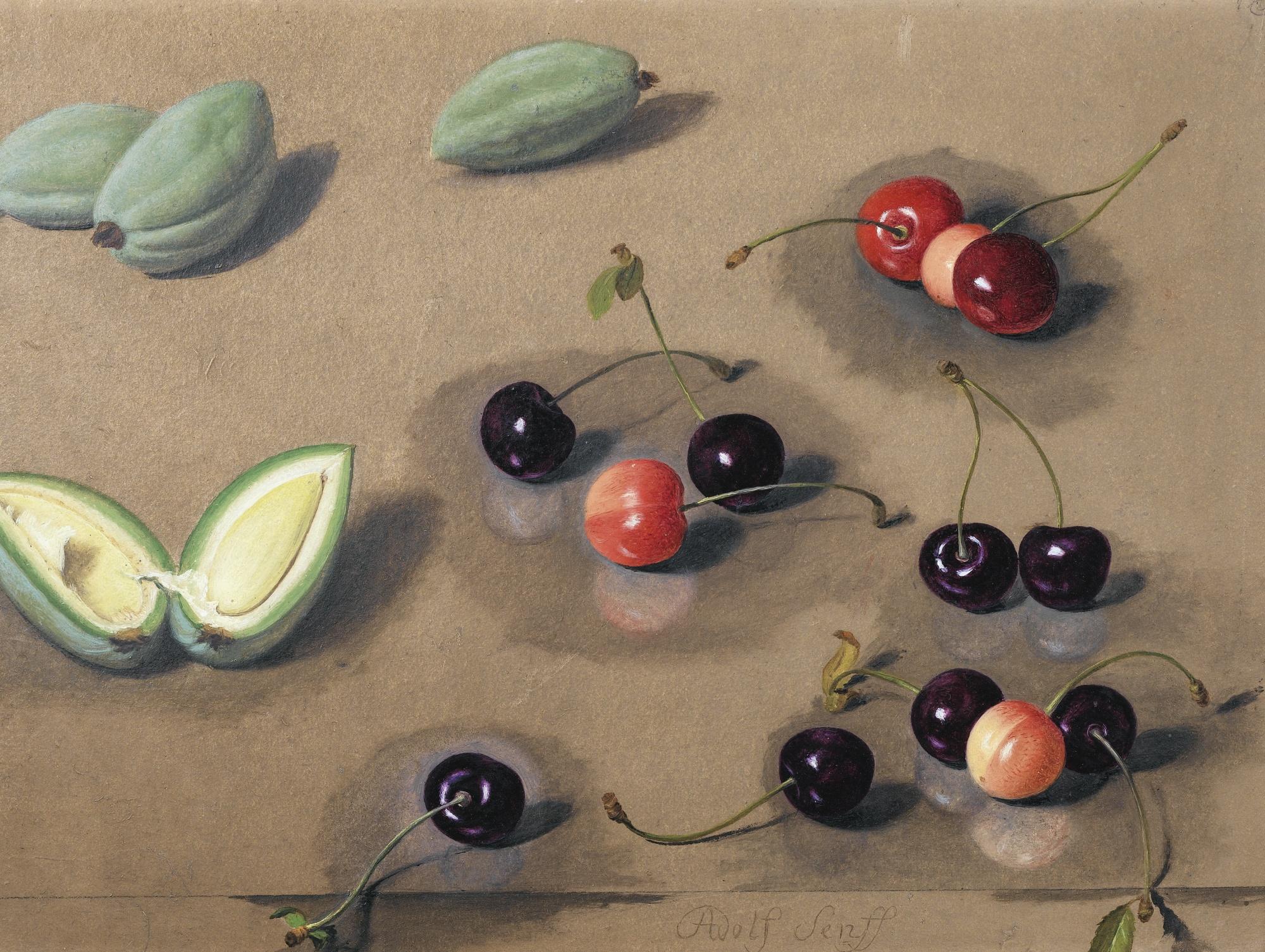 Carl-Adolf Senff - Etude De Fruits