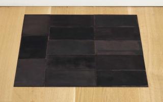 Carl Andre - 13 Venifer