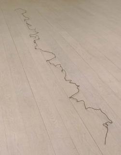 Carl Andre - 14 Steel Wire Run