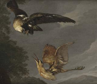 Carl Borromaus Andreas Ruthart - A Golden Eagle and a Bittern in flight