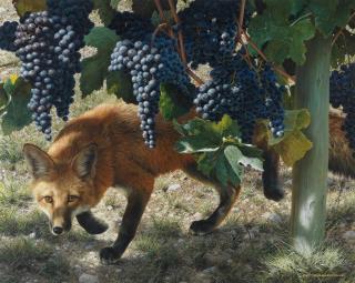 Carl Brenders - \'Between the Vines - Red Fox\'