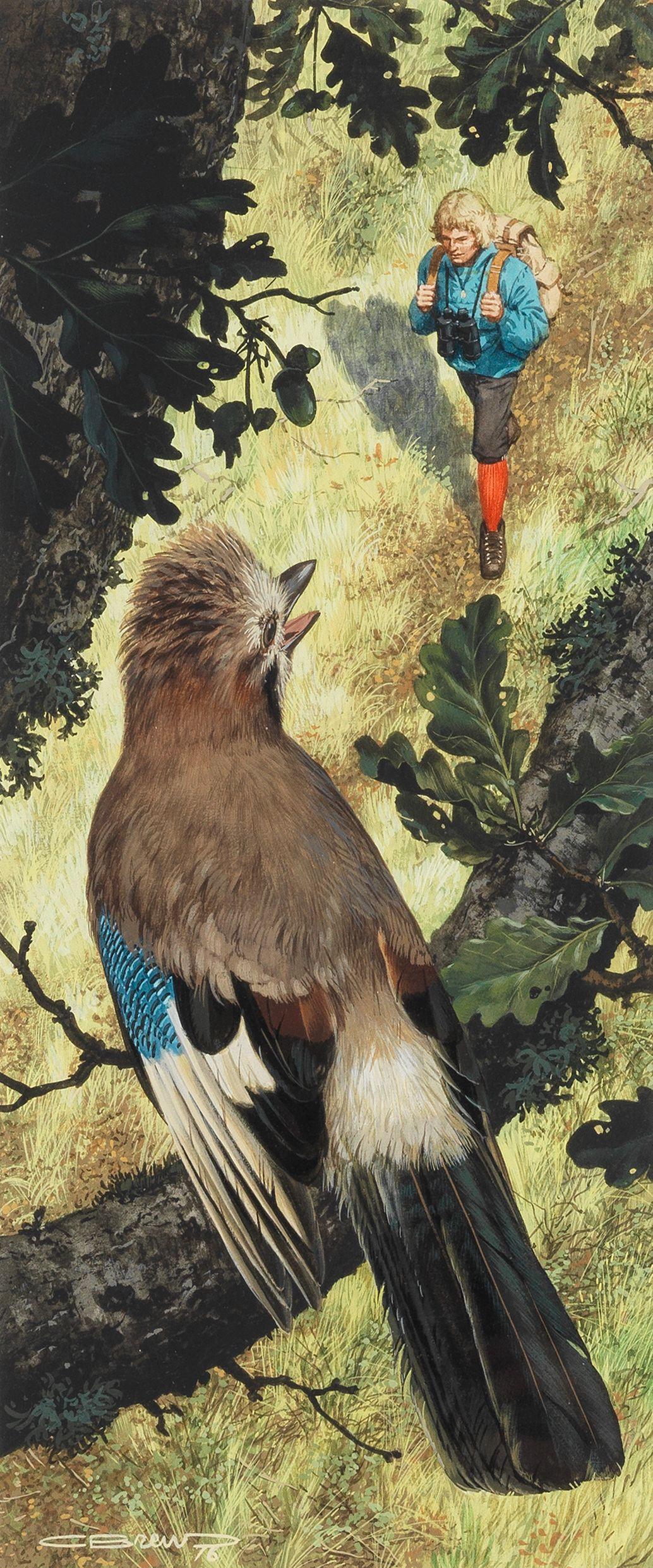 Carl Brenders - Jay watch