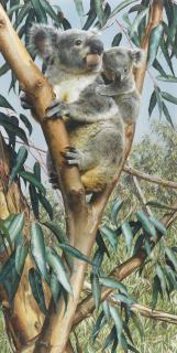 Carl Brenders - \'Up a Gum with Mum\'