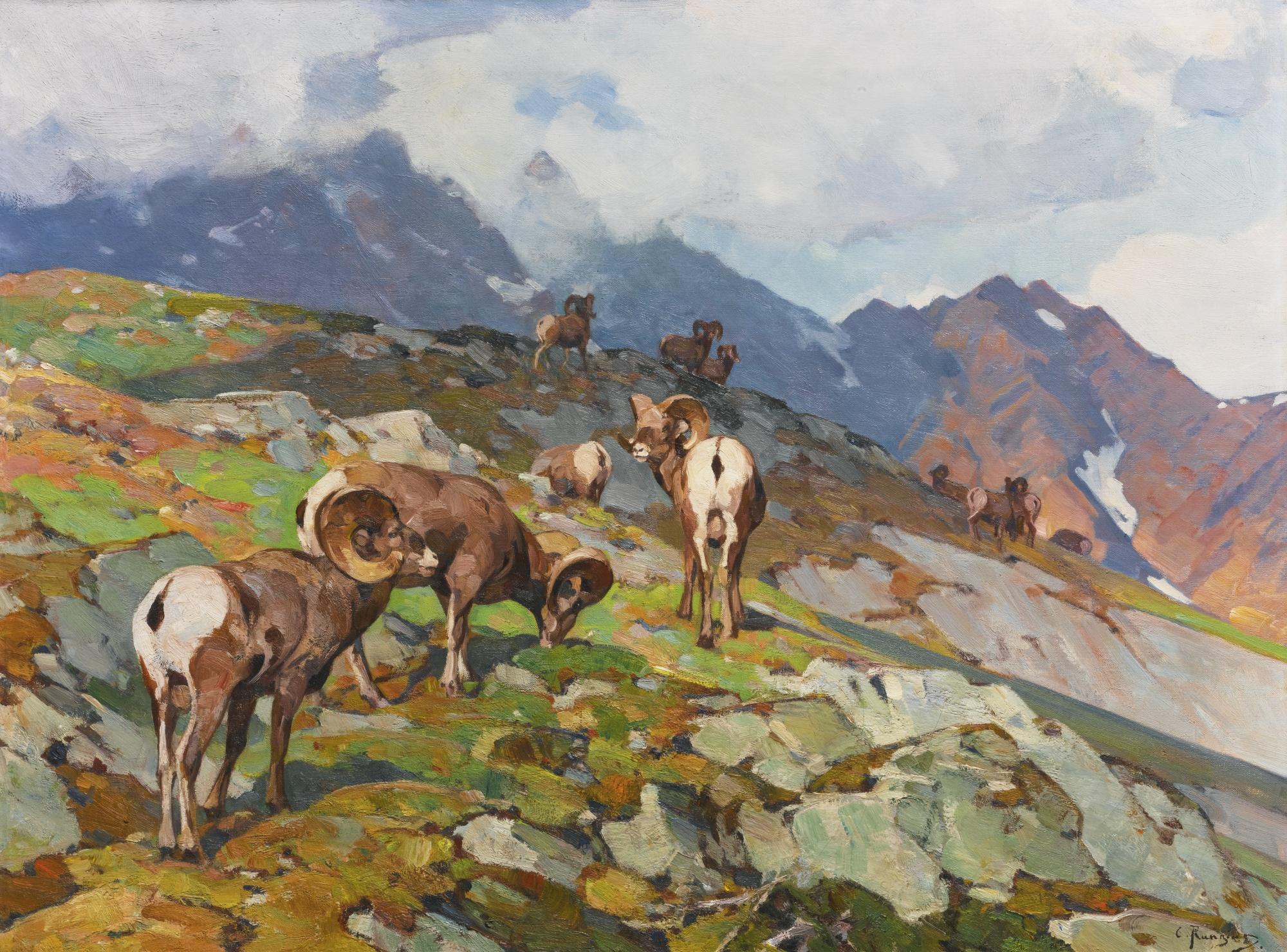 Carl Clemens Moritz Rungius - Big Horn Sheep