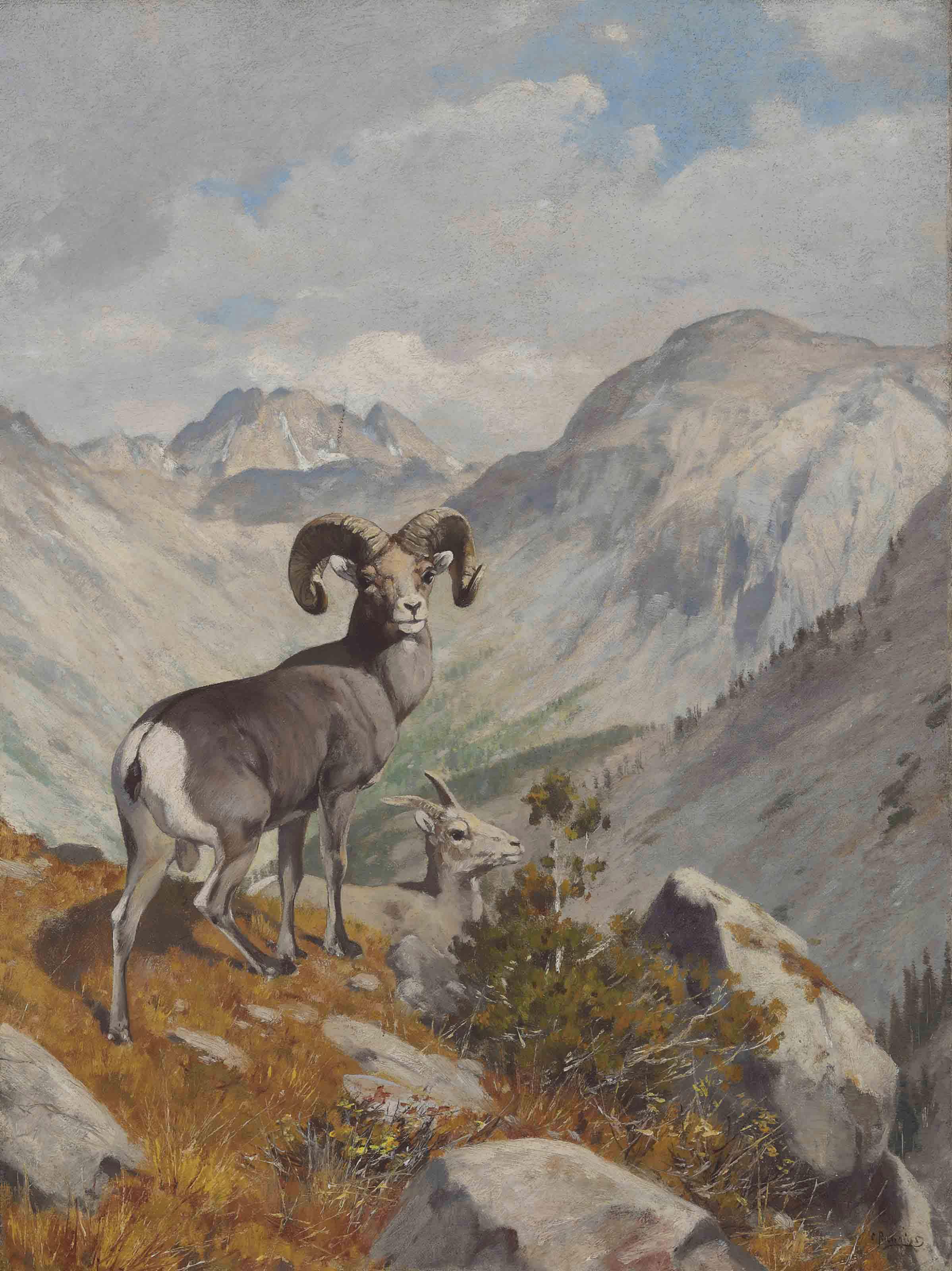 Carl Clemens Moritz Rungius - Mountain goats