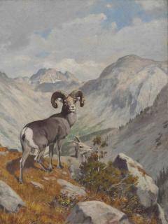 Carl Clemens Moritz Rungius - Mountain goats