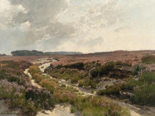 Carl Cowen Schirm - Blühende Heidelandschaft