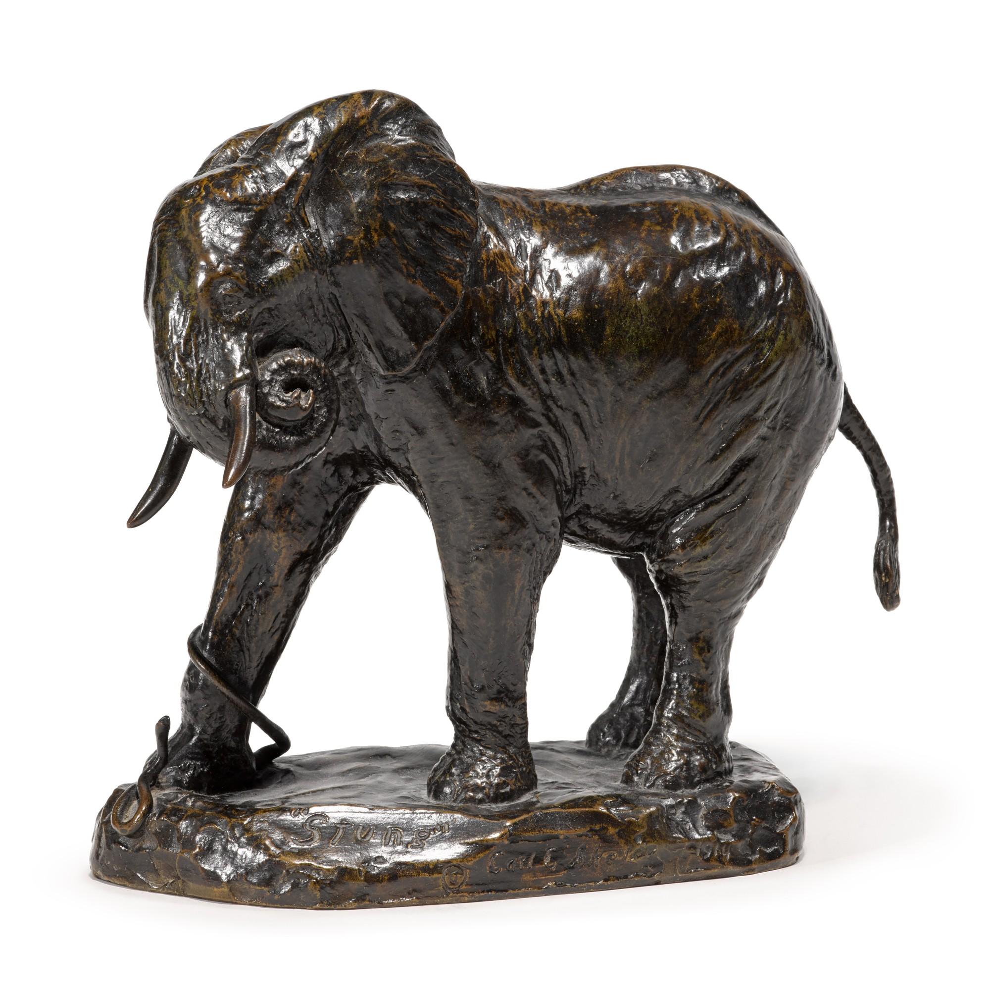 Carl Ethan Akeley - Stung