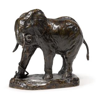 Carl Ethan Akeley - Stung