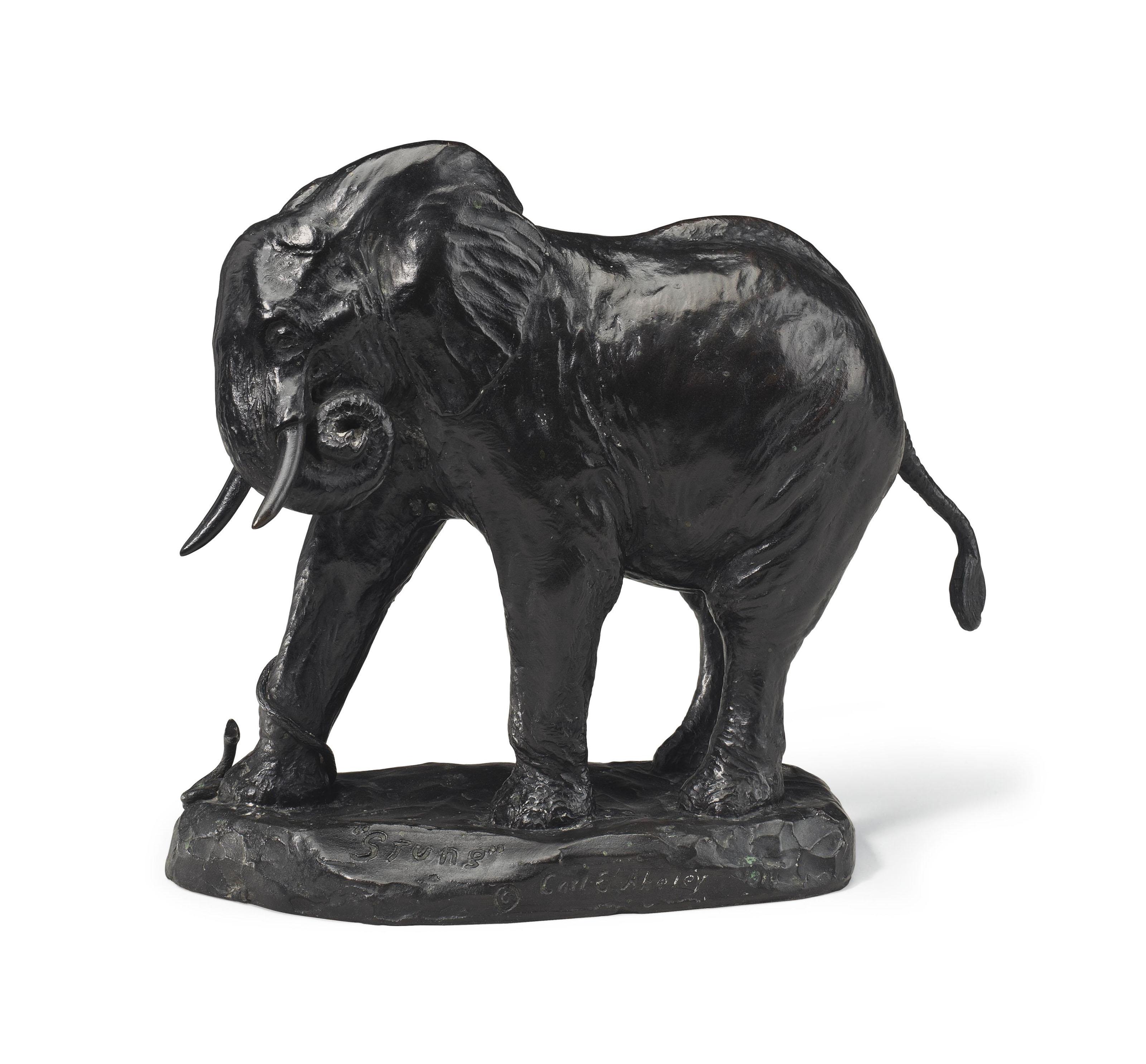 Carl Ethan Akeley - \'Stung\'