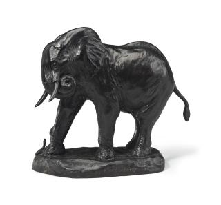 Carl Ethan Akeley - \'Stung\'