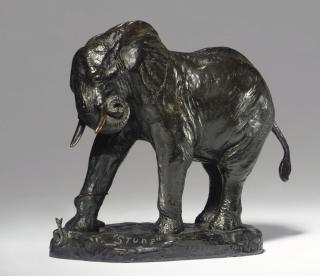 Carl Ethan Akeley - \'Stung\'