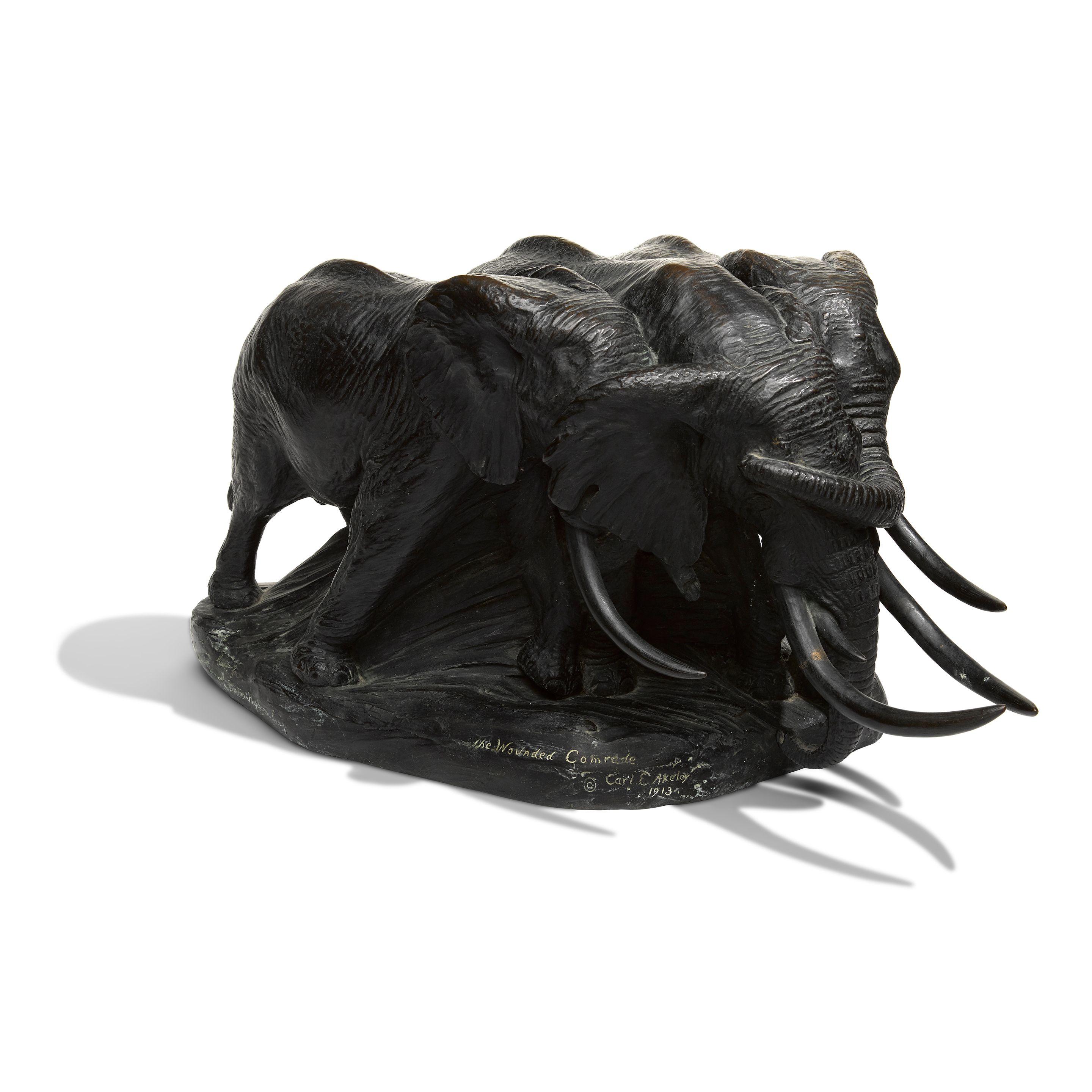 Carl Ethan Akeley - The Wounded Comrade