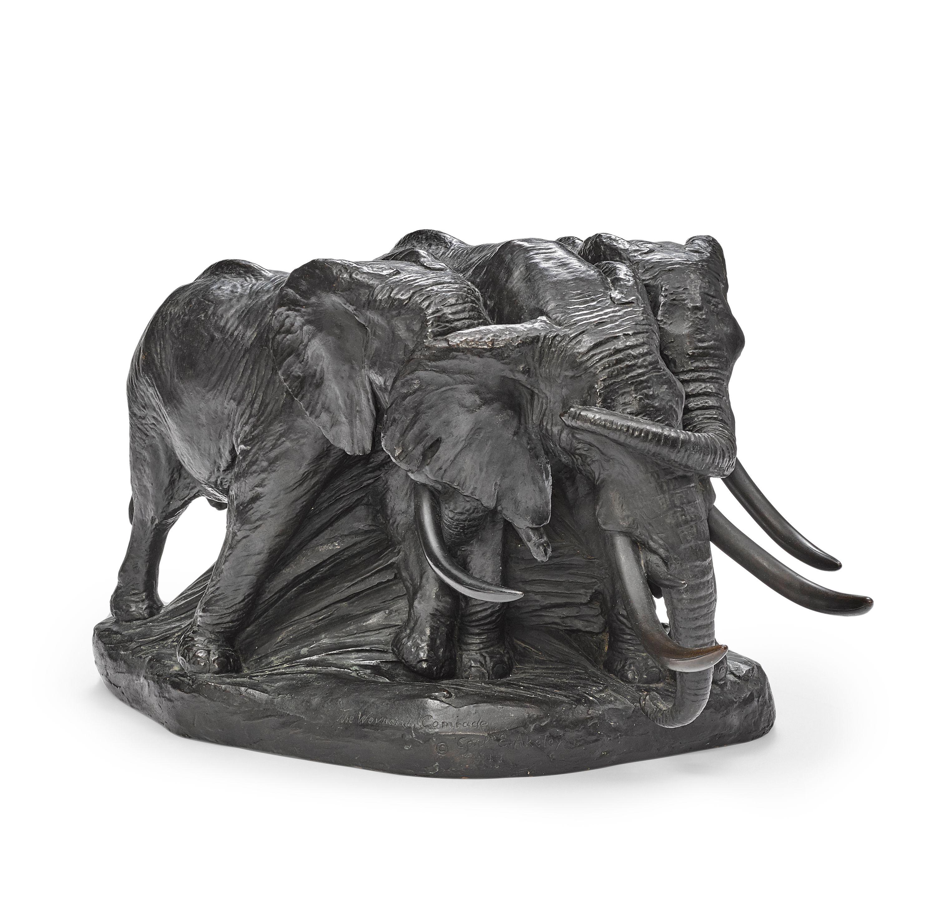 Carl Ethan Akeley - The Wounded Comrade