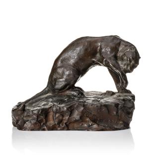 Carl Fagerberg - Cougar