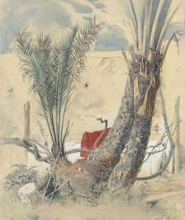 Carl Friedrich Heinrich Werner - Study of palm trees