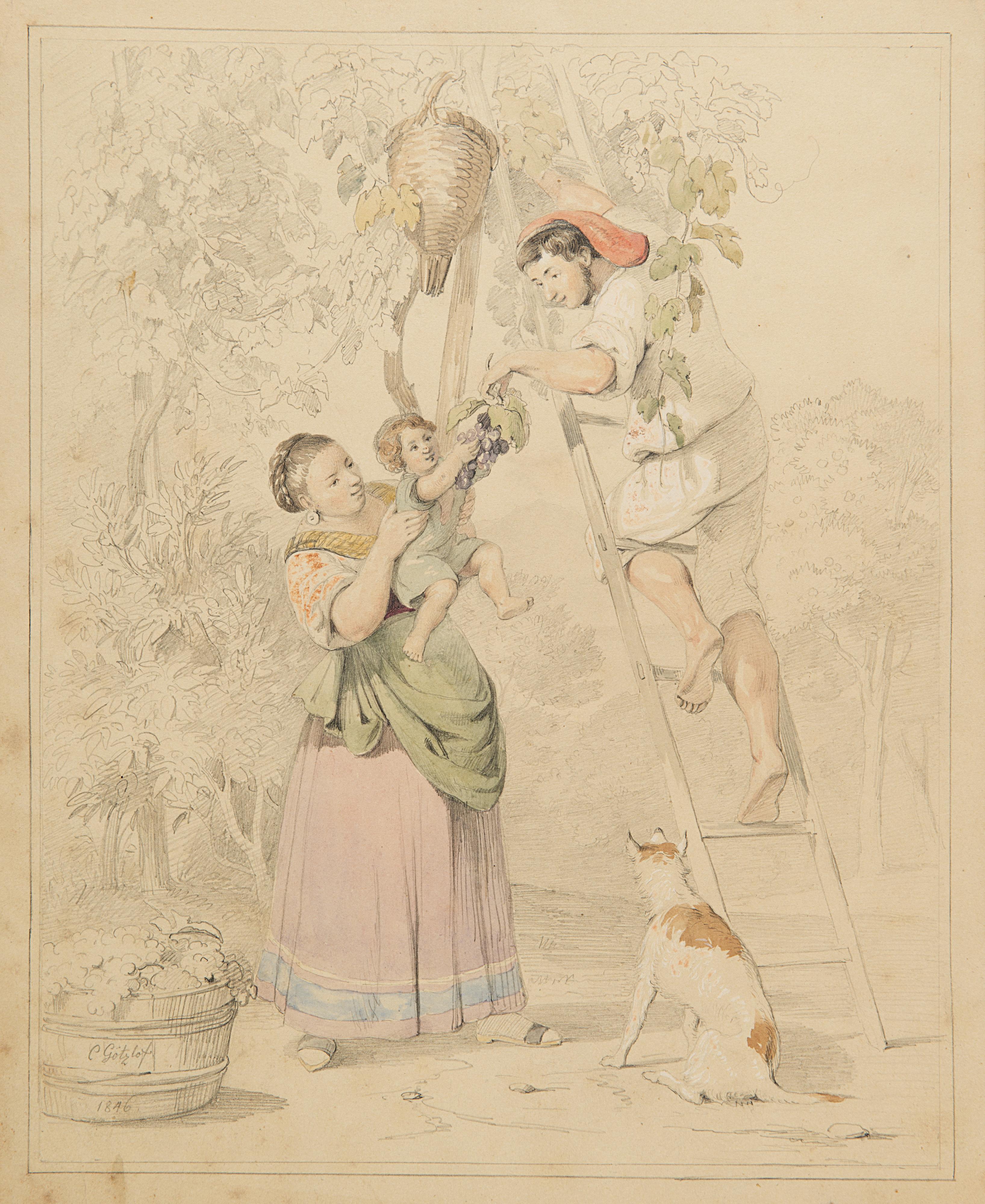 Carl Gotzloff - La raccolta dell\'uva