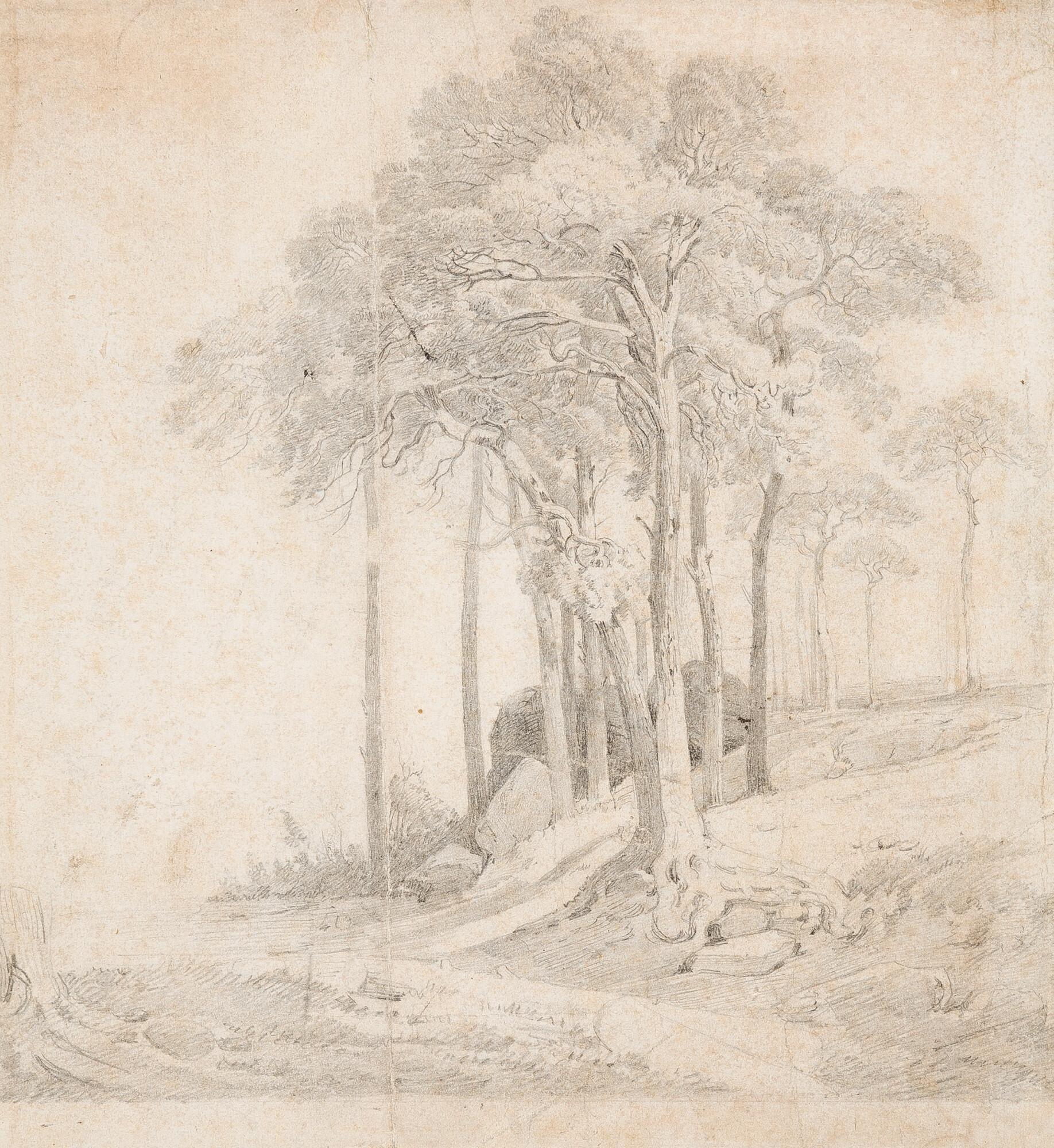 Carl Gustav Carus - Skizze einer Baumgruppe (bei Rathen in der Sächsischen Schweiz).