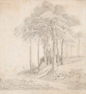 Carl Gustav Carus - Skizze einer Baumgruppe (bei Rathen in der Sächsischen Schweiz).