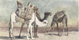 Carl Haag - Camels At Damascus