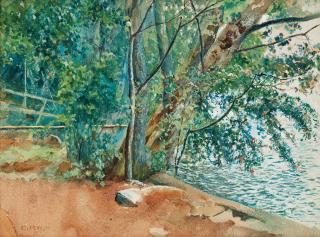Carl Hedelin - Trees by the water