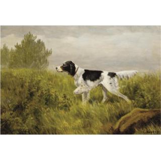 Carl Hoyrup - A Pointer On Alert