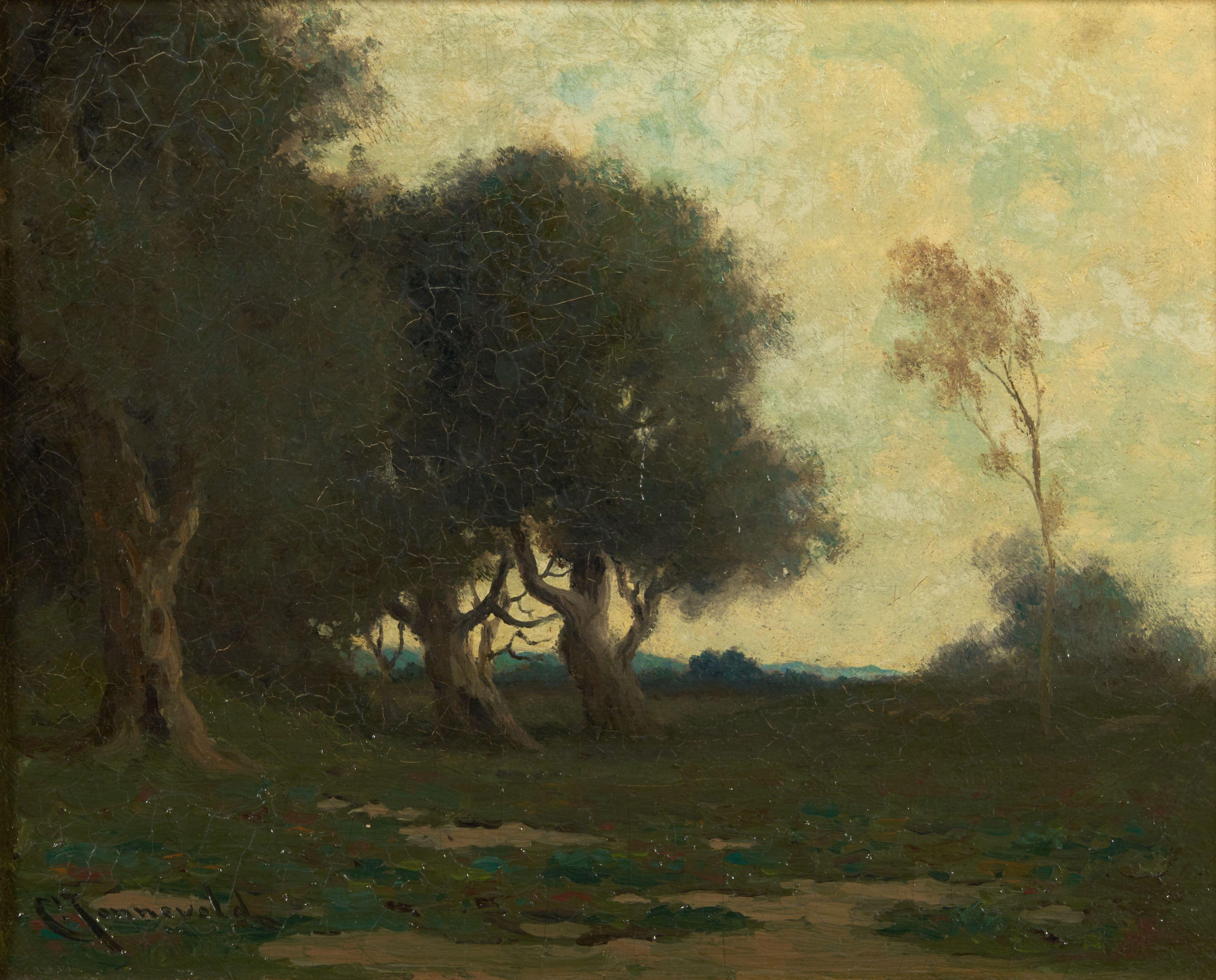 Carl Jonnevold - Landscape