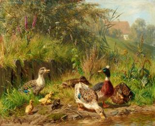 Carl Jutz d. Ä. - Enten am Teich