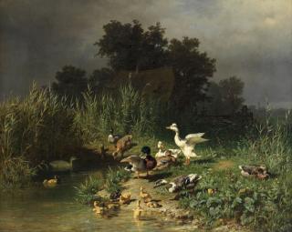 Carl Jutz I - Ducks by the water\'s edge