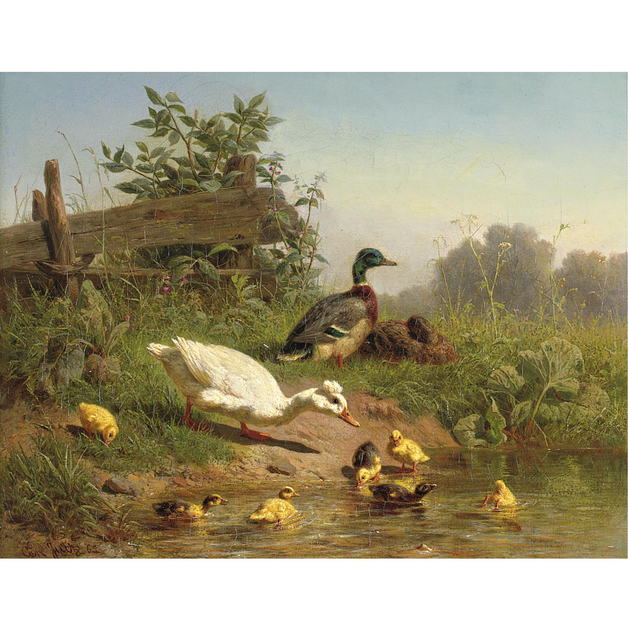 Carl Jutz - A Cooling Bath