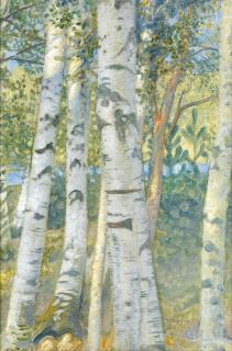 Carl Larsson - Björkstammer (Birch trees)