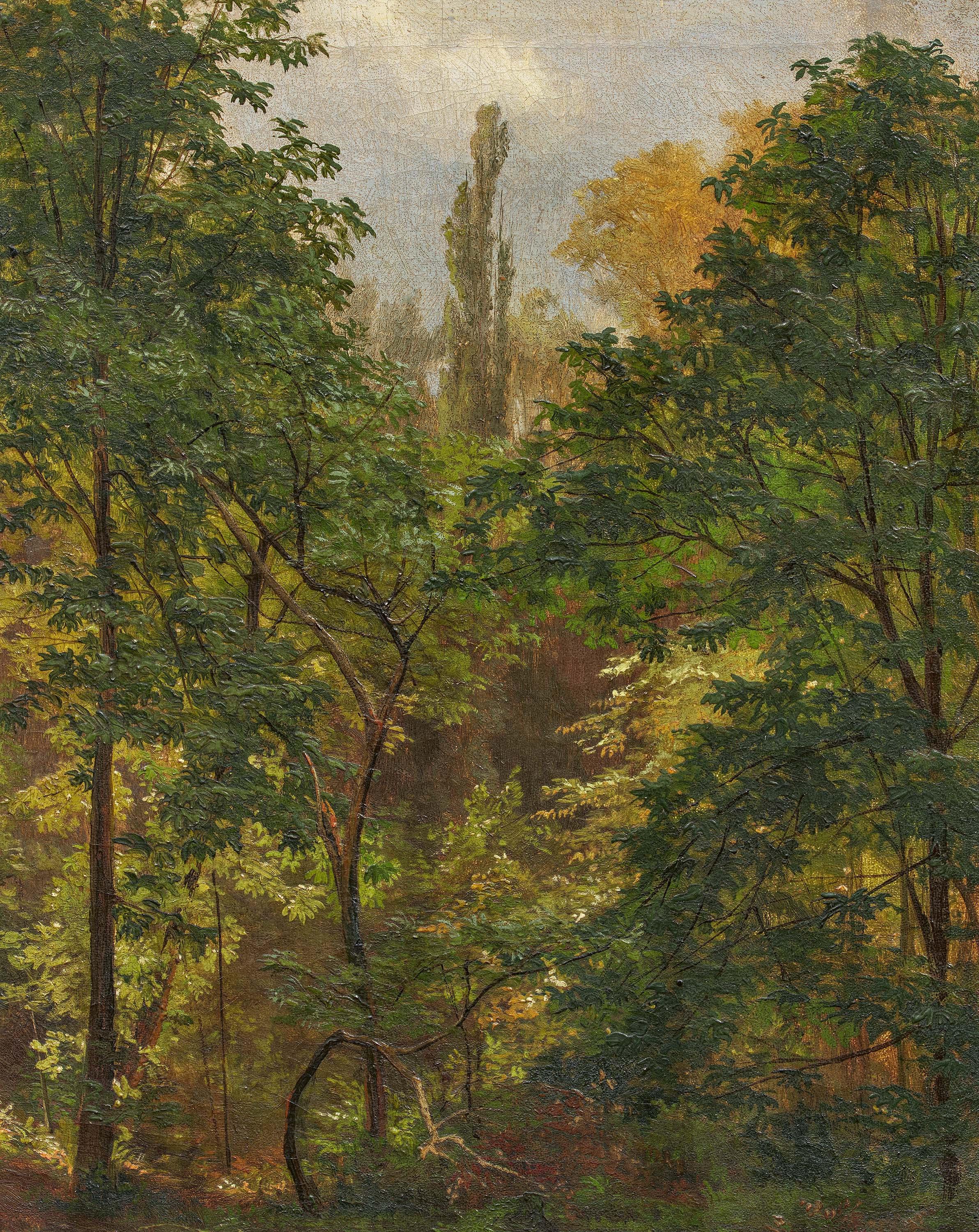 Carl Ludwig Fahrbach - Sommerwald.