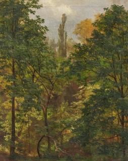 Carl Ludwig Fahrbach - Sommerwald.