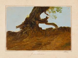 Carl Ludwig Frommel - Studie eines Baumstamms.