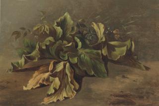 Carl Ludwig Frommel - Study of a plant