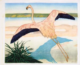 Carl Moser - Flamingo.